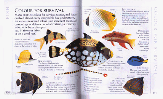 Visual Encyclopedia of Animals