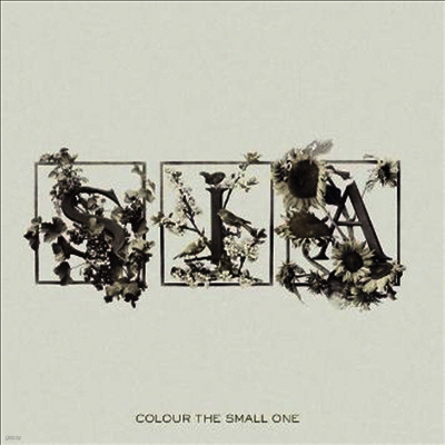Sia — Colour The Small One 앨범 커버