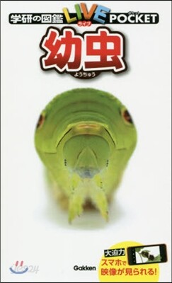 幼蟲