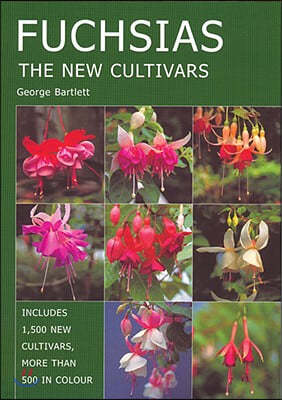 Fuchsias