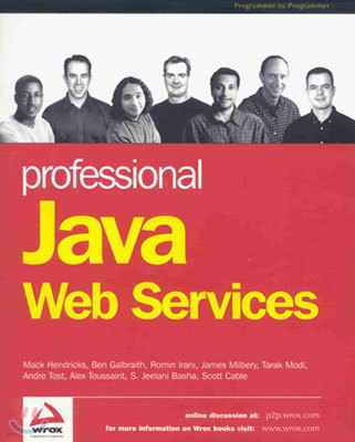 Professional Java Web Services