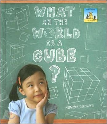 What in the World Is a Cube?