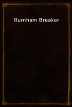 Burnham Breaker