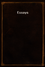 Essays