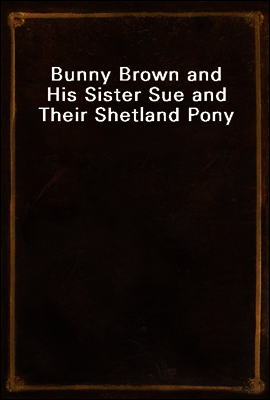 Bunny Brown and His Sister Sue and Their Shetland Pony