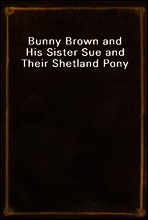Bunny Brown and His Sister Sue and Their Shetland Pony