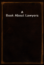 A Book About Lawyers