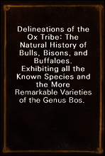 Delineations of the Ox Tribe