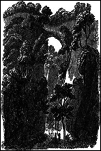 Travels in North America, From Modern Writers
With Remarks and Observations; Exhibiting a Connected View of the Geography and Present State of that Quarter of the Globe