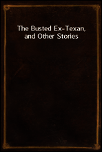 The Busted Ex-Texan, and Other Stories