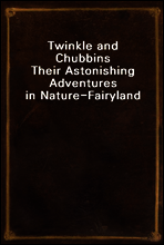 Twinkle and Chubbins
Their Astonishing Adventures in Nature-Fairyland
