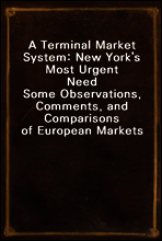 A Terminal Market System