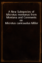 A New Subspecies of Microtus montanus from Montana and Comments on Microtus canicaudus Miller