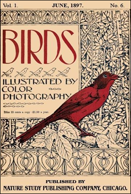 Birds, Illustrated by Color Photography, Vol. 1, No. 6
June, 1897
