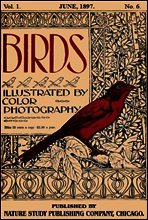 Birds, Illustrated by Color Photography, Vol. 1, No. 6
June, 1897