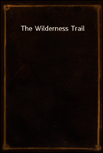 The Wilderness Trail