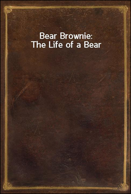 Bear Brownie