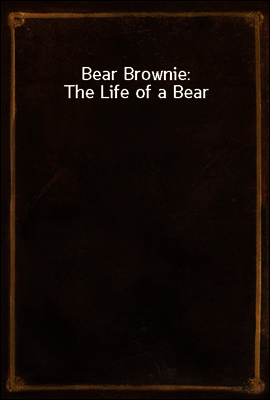 Bear Brownie