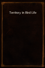 Territory in Bird Life