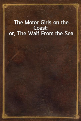 The Motor Girls on the Coast; or, The Waif From the Sea