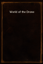 World of the Drone