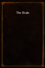 The Brain