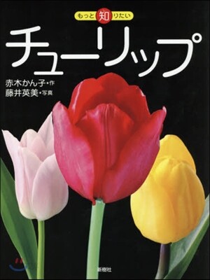 もっと知りたい チュ-リップ