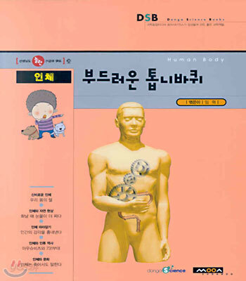 인체, 부드러운 톱니바퀴