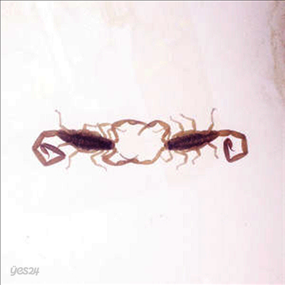 Cross Record - Wabi Sabi (Vinyl LP)