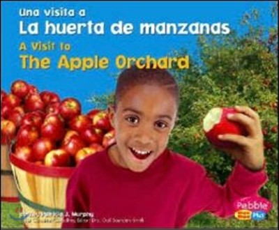 La Huerta De Manzanas/ The Apple Orchard