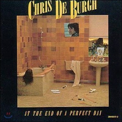 [߰] Chris De Burgh / At The End Of A Perfect Day ()
