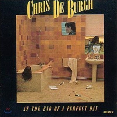 [중고] Chris De Burgh / At The End Of A Perfect Day (수입)