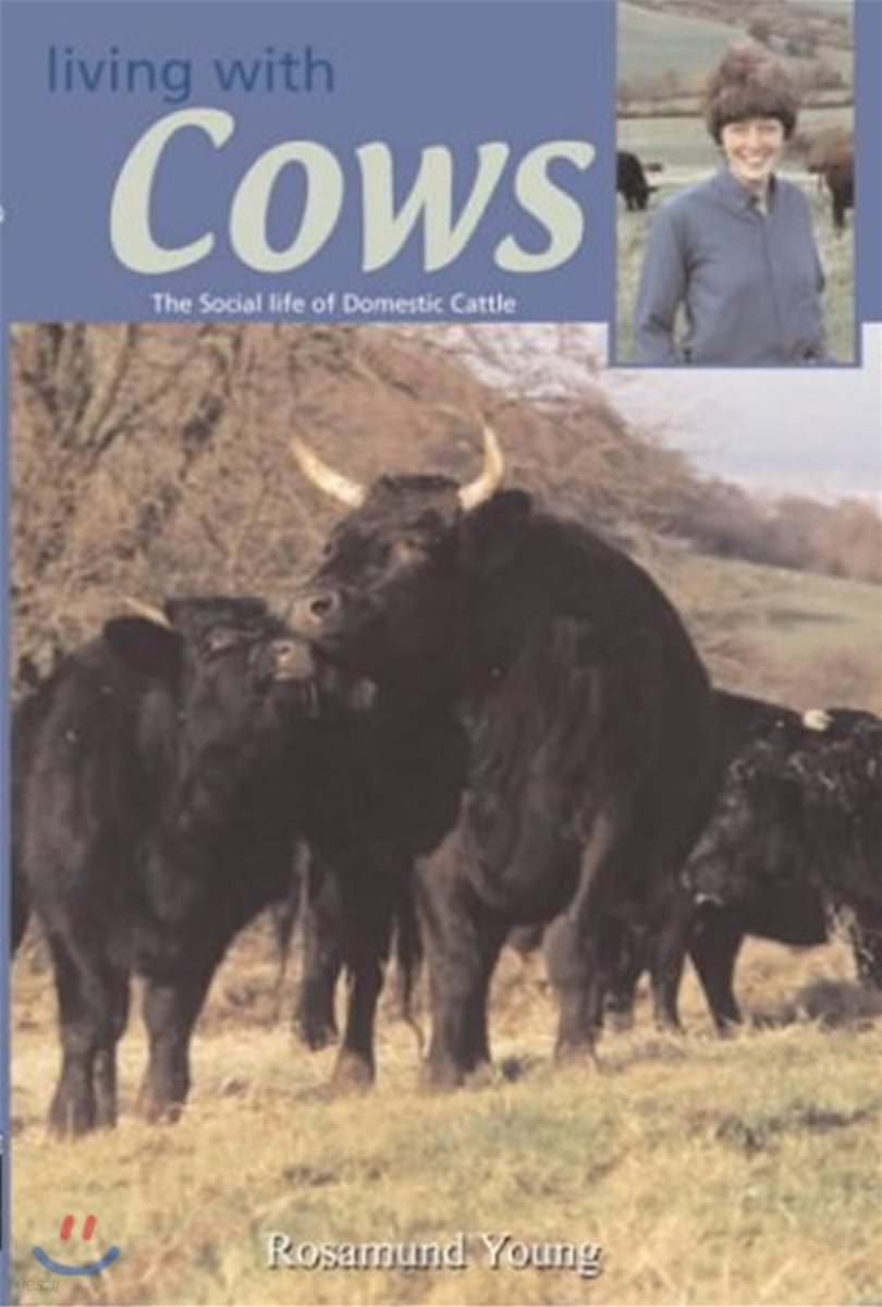The Secret Life of Cows