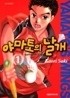 야마토의 날개 1-4/완결