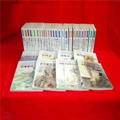 베스트셀러 한국문학선 35권