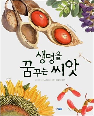 생명을 꿈꾸는 씨앗