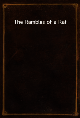 The Rambles of a Rat