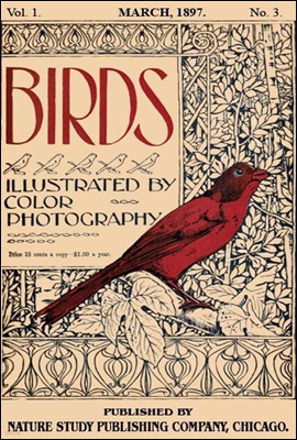Birds, Illustrated by Color Photography, Vol. 1, No. 3
March 1897