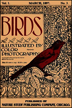 Birds, Illustrated by Color Photography, Vol. 1, No. 3
March 1897