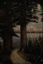 The Beauties of the State of Washington