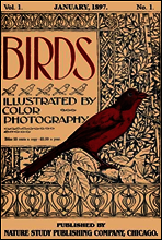 Birds, Illustrated by Color Photography, Vol. 1, No. 1
January, 1897