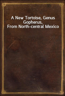 A New Tortoise, Genus Gopherus, From North-central Mexico