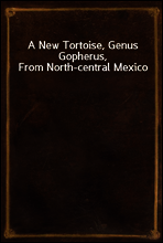 A New Tortoise, Genus Gopherus, From North-central Mexico