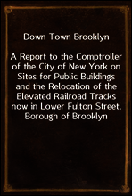 Down Town Brooklyn
A Report to the Comptroller of the City of New York on Sites for Public Buildings and the Relocation of the Elevated Railroad Tracks now in Lower Fulton Street, Borough of Brooklyn