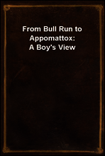 From Bull Run to Appomattox