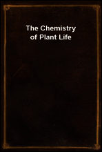 The Chemistry of Plant Life