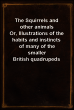 The Squirrels and other animals
Or, Illustrations of the habits and instincts of many of the smaller British quadrupeds