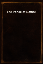 The Pencil of Nature