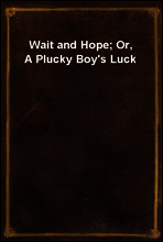 Wait and Hope; Or, A Plucky Boy`s Luck