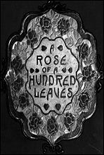 A Rose of a Hundred Leaves